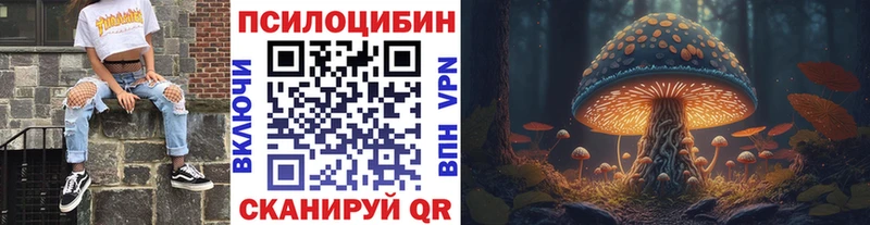 магазин    Канск  Псилоцибиновые грибы GOLDEN TEACHER 